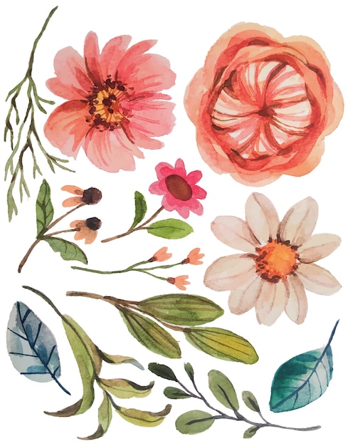 Éléments De Fleurs Aquarelles