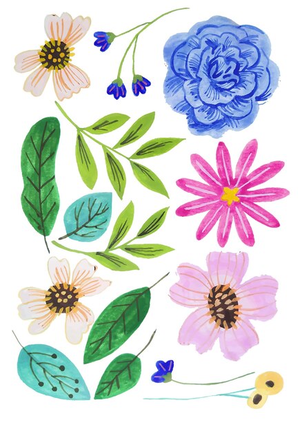 Éléments De Fleurs Aquarelles