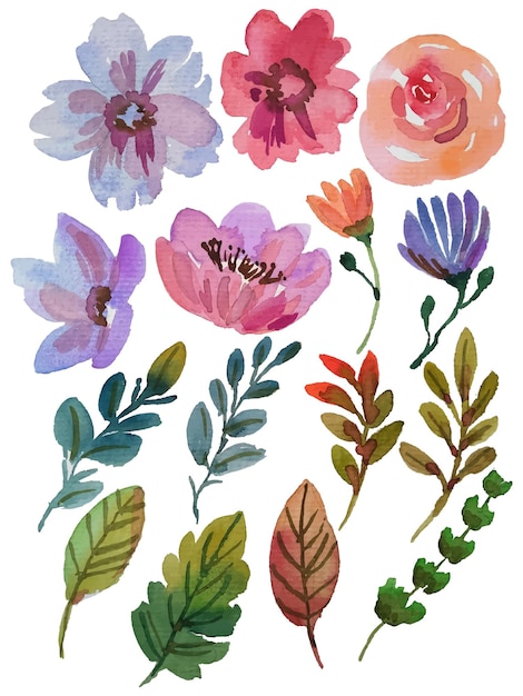 Vecteur Éléments de fleurs aquarelles