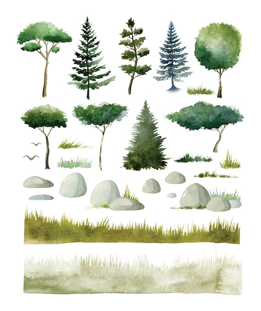 Vecteur Éléments de la nature aquarelle conifères et arbres à feuilles caduques roches et herbe