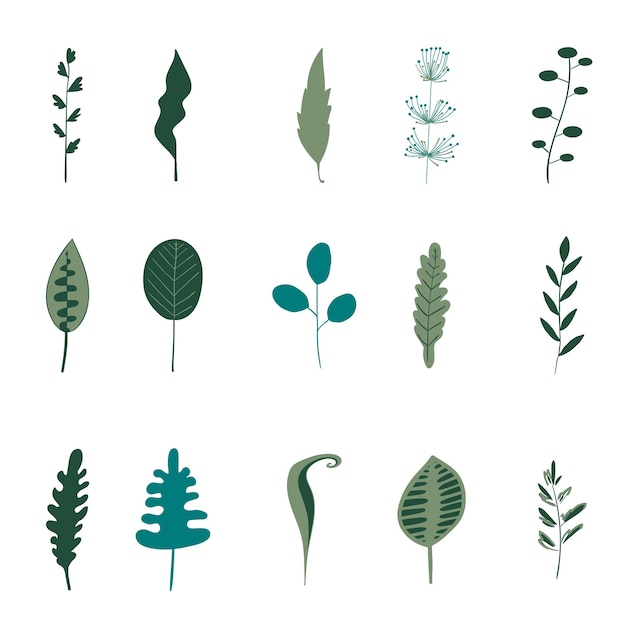 Éléments Vectoriels. Ensemble De Différentes Feuilles Vertes De Plantes De Forêt Et De Jardin.