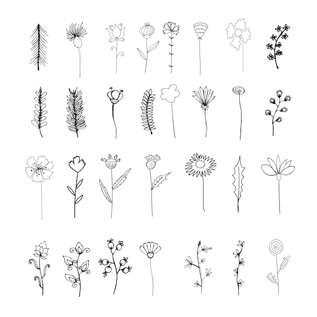 Éléments vectoriels. Ensemble de fleurs et de plantes. Décrire le style esquissé. Conception botanique pour compositions florales