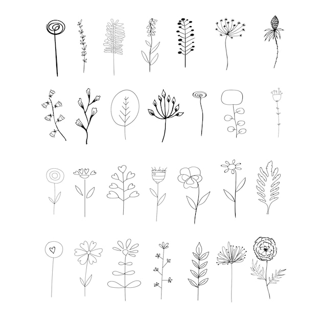 Éléments vectoriels. Ensemble de fleurs et de plantes. Décrire le style esquissé. Conception botanique pour compositions florales