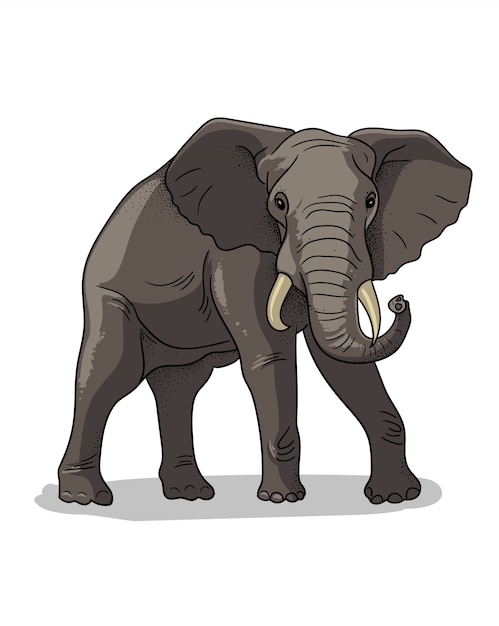 Vecteur Éléphant debout de savane africaine isolé en style cartoon. illustration de zoologie éducative, image de livre de coloriage.