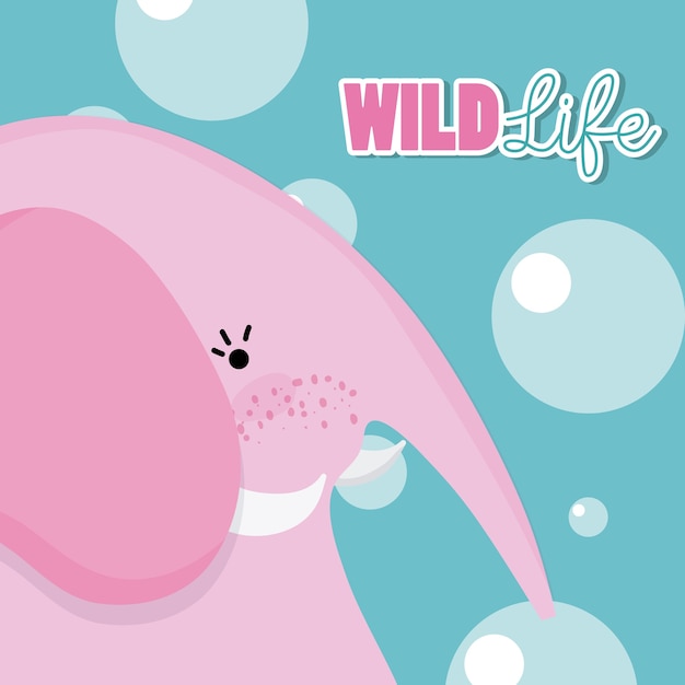 Éléphant faune animal mignon dessin animé