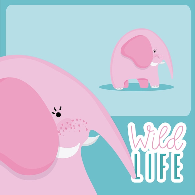Éléphant faune animal mignon dessin animé