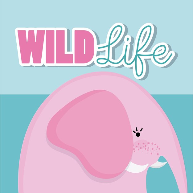 Éléphant faune animal mignon dessin animé
