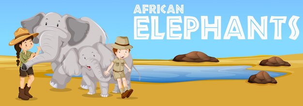 Éléphants Africains Et Les Gens Dans Le Domaine