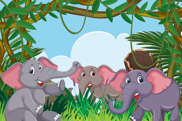 Éléphants Dans La Scène De La Jungle