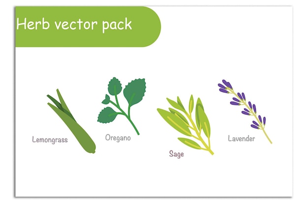 emballage à vecteurs d'herbes