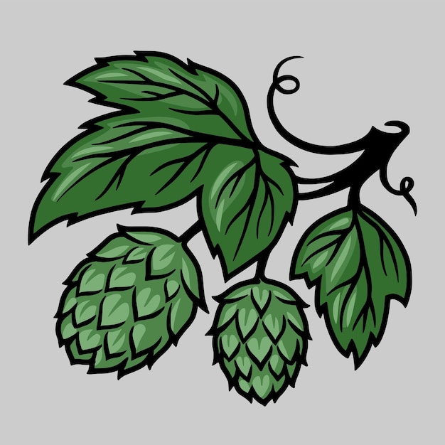 Vecteur emblème noir et blanc de logo de graine de houblon de bière artisanale