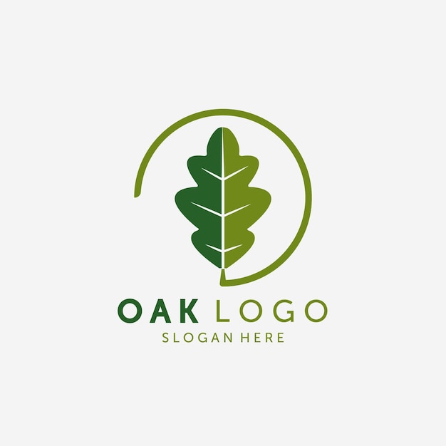 Emblème De Oak Leaf Logo Vector Design Illustration Vintage, Logo Sain, Logo Spa Acupuncture Vintage