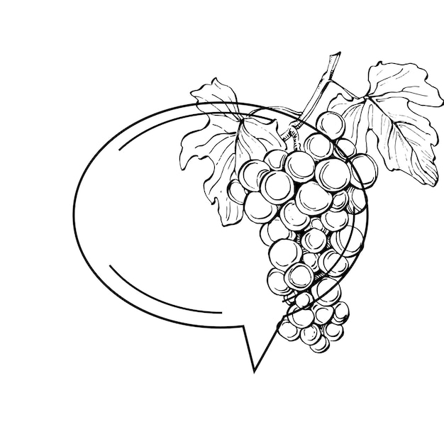 Emblème de raisin logo