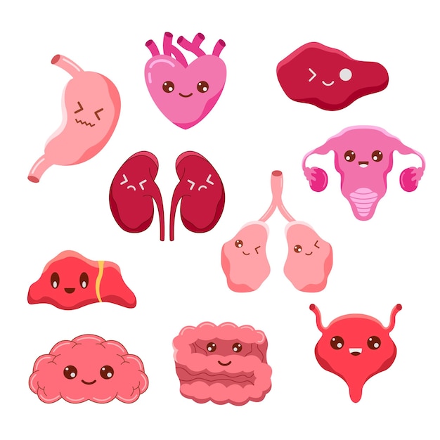 Emoji Mignon Face à L'anatomie Interne De L'organe Humain Pour L'élément D'illustration à Des Fins éducatives En Sciences Médicales