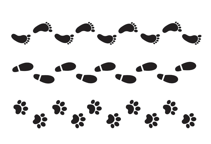 Vecteur empreinte pied bannière illustration vectorielle