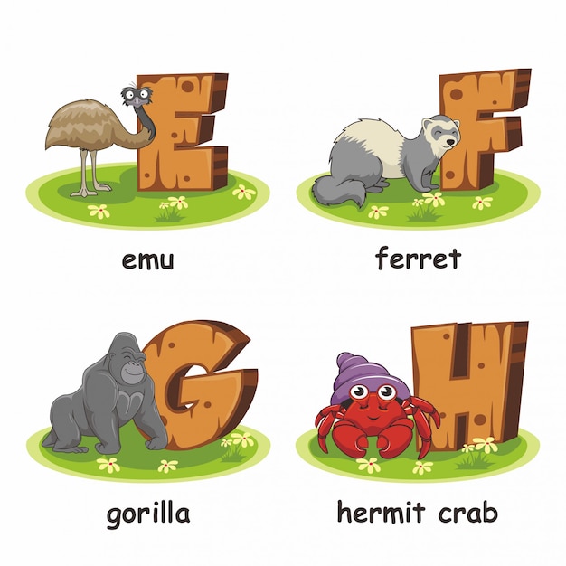 Emu Furet Gorille Ermite Crabe Alphabet En Bois Animaux