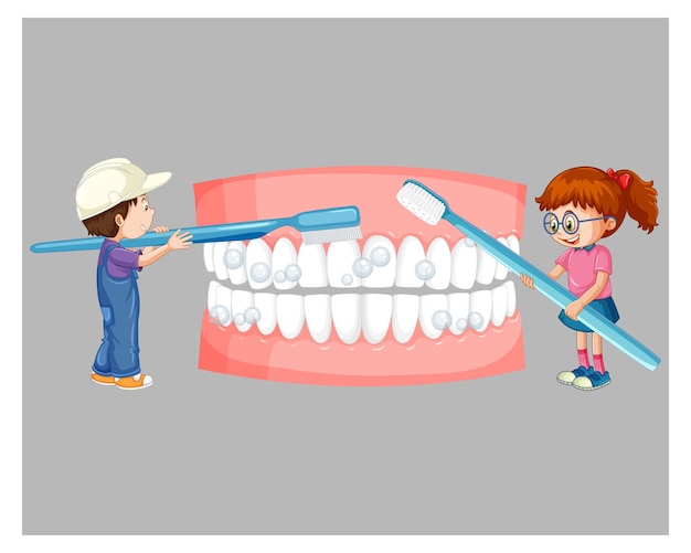 Des enfants heureux se brossent les dents avec une brosse à dents sur un fond blanc illustration vectorielle