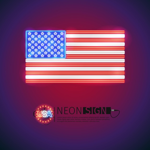 Enseigne Néon Drapeau Usa