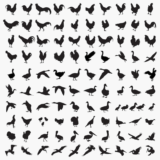 Ensemble De 100 Silhouettes D'oiseaux