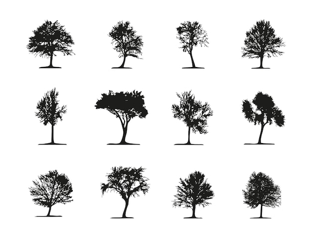 Ensemble De 12 Silhouettes D'arbres à Feuilles Caduques