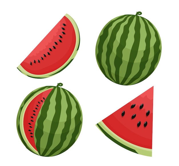 Ensemble De 4 Pièces De Pastèque Cartoon Vector Illustration Tranches De Pastèque Entières Melon Fruit On White