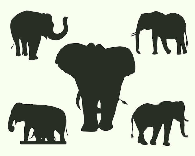 Ensemble De 5 Silhouettes D'éléphants