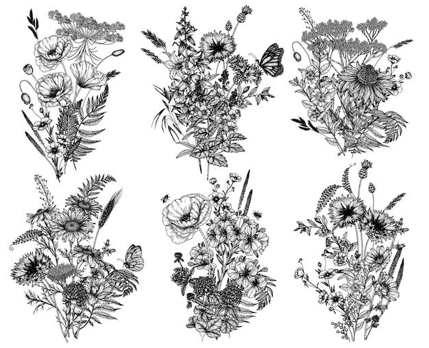 Ensemble de 6 bouquets de fleurs et plantes sauvages Camomille trèfle chicorée coquelicot clochettes de bleuet