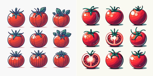 Vecteur un ensemble de 6 tomates dans un fond blanc plat de style vectoriel de dessin animé simple et minimaliste