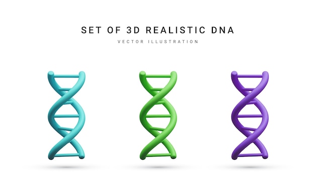 Ensemble d'adn génétique en spirale médicale réaliste 3d pour la biochimie de la science physique de la chimie moléculaire en style cartoon isolé sur fond blanc Illustration vectorielle