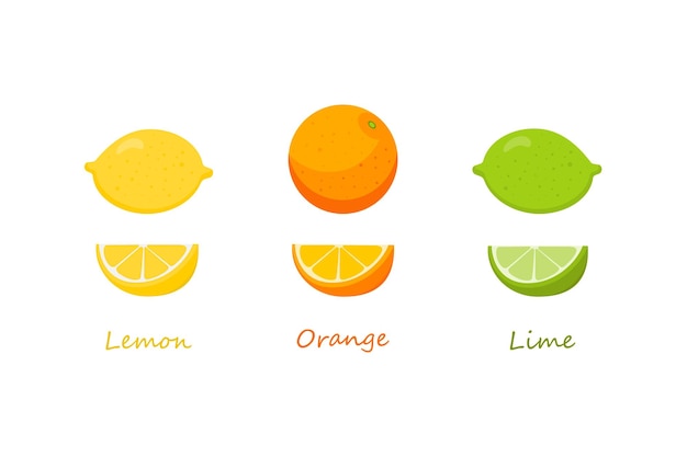 Un Ensemble D'agrumes Sur Fond Blanc - Citron, Orange, Citron Vert. Illustration Vectorielle.