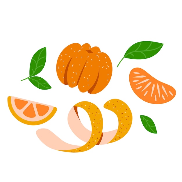 Un ensemble d'agrumes. Mandarines pelées. Recette de confiture de mandarine. Fruits et zeste d'orange