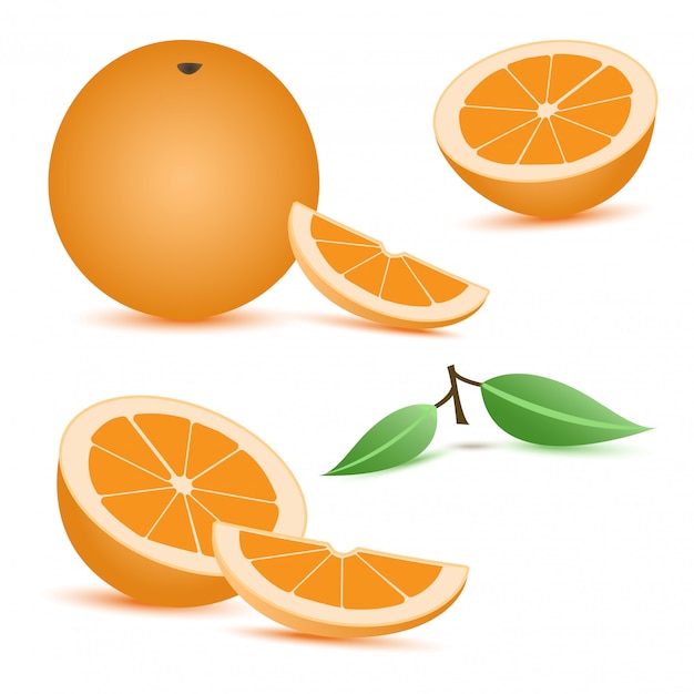 Ensemble D'agrumes Orange. Illustration