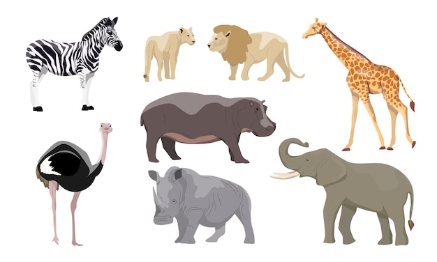 ensemble de silhouettes d'animaux de la savane sur fond blanc tigre lion  rhinocéros phacochère commun buffle africain tortue caméléon zèbre autruche  éléphant girafe crocodile cobra 2543606 Art vectoriel chez Vecteezy