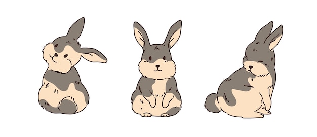 Vecteur ensemble d'animaux lapin lapin brun mignon bonne année 2023 année du vecteur lapin collection de dessin animé lapin brun