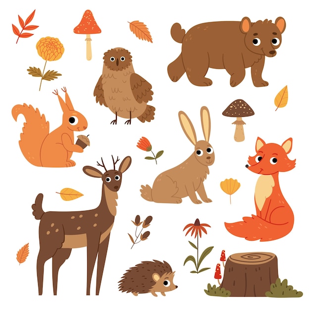 Ensemble d'animaux et de plantes de la forêt d'automne Hibou écureuil renard cerf hérisson lièvre