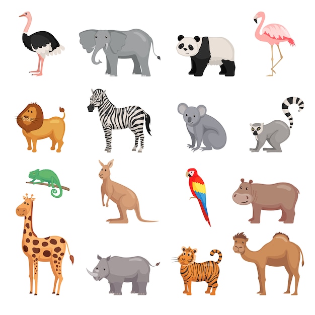Ensemble d'animaux de zoo