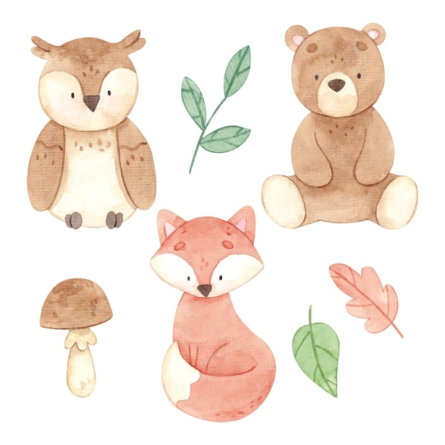 Ensemble Aquarelle D'animaux Des Bois Forestiers Mignons Ours Renard Chouette Feuilles Champignon