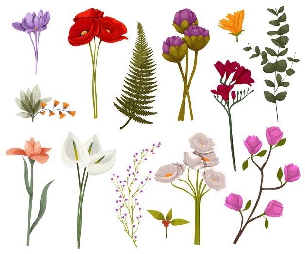 Ensemble Aquarelle Botanique Fleur éléments Floraux Branches Feuilles Herbes Plantes Sauvages Fleurs Jardin