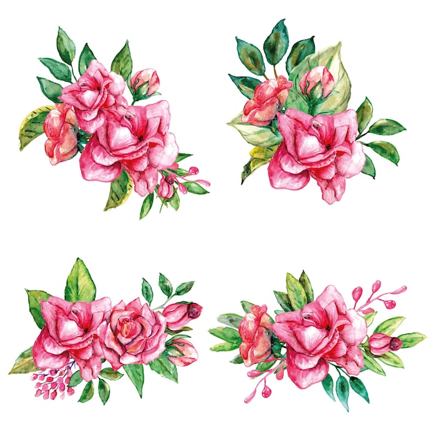 Ensemble D'aquarelle De Bouquets De Roses Roses