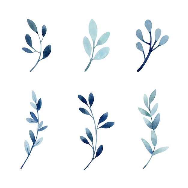 Ensemble Aquarelle De Branches Bleues Et Vertes Illustrations Botaniques Simples