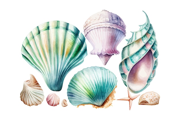 Ensemble aquarelle de coquillages sur fond blanc Conception d'illustration vectorielle