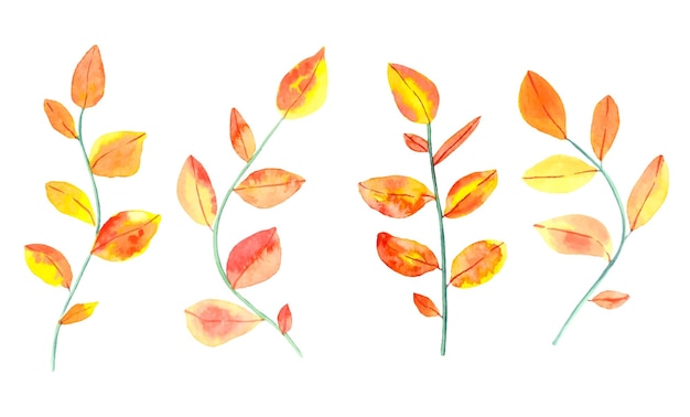 Ensemble D'aquarelle De Feuilles Jaunes Et Rouges D'automne