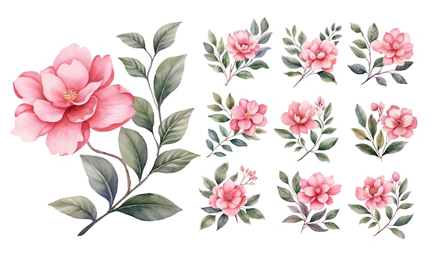 Ensemble d'aquarelle de fleur rouge vintage