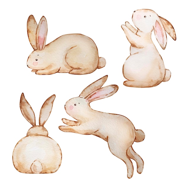 Ensemble Aquarelle De Lapins De Pâquesxaxa