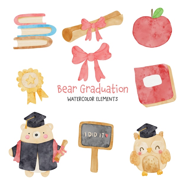 ensemble d'aquarelle ours de remise des diplômes