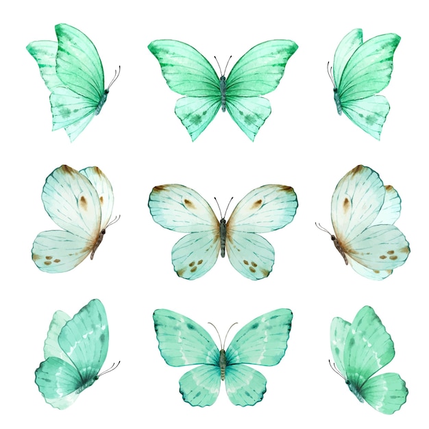 Vecteur ensemble aquarelle de papillons peints à la main turquoise vif