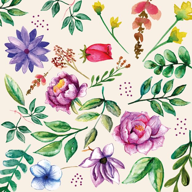 Vecteur ensemble aquarelle de printemps plante fleur vintage