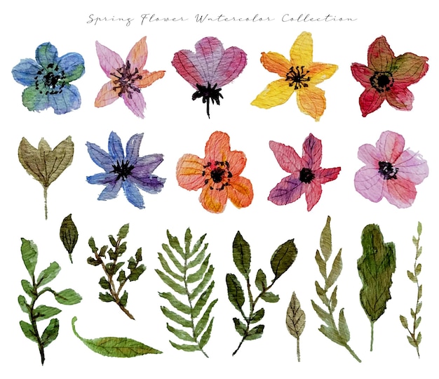 Vecteur un ensemble d'aquarelles de fleurs de printemps dessinées à la main