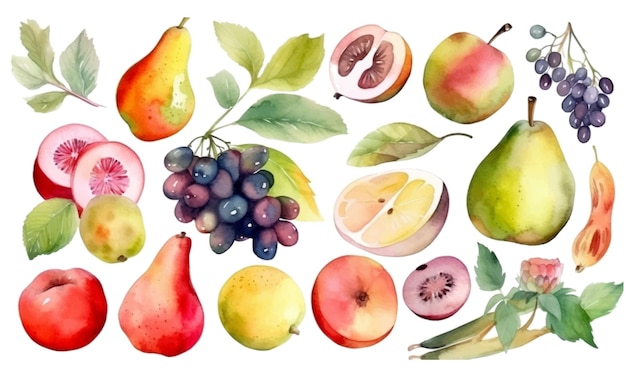 Vecteur un ensemble d'aquarelles de fruits et de feuilles