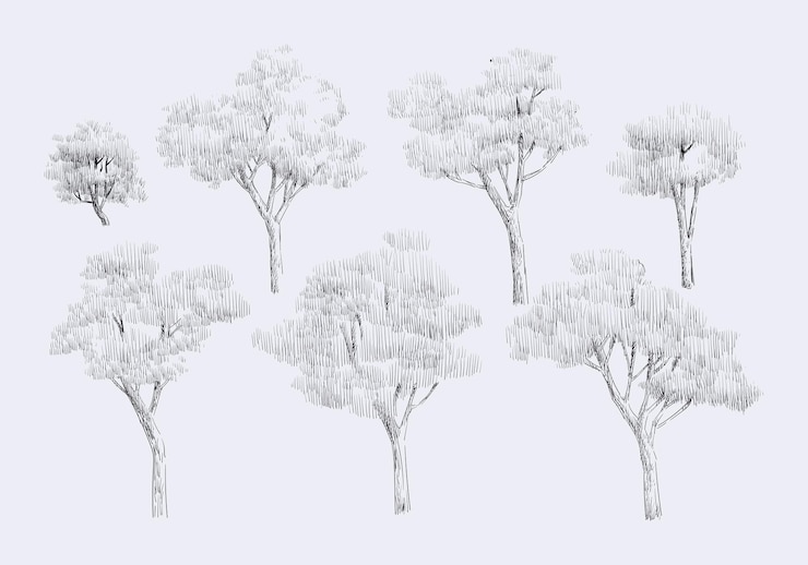 Vecteur ensemble d'arbres dessin de ligne d'élément gravure de symbole signe et icône pour la conception de paysage d'architecture